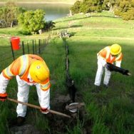 Calaveras Dam Replacement Project, Alameda County, CA